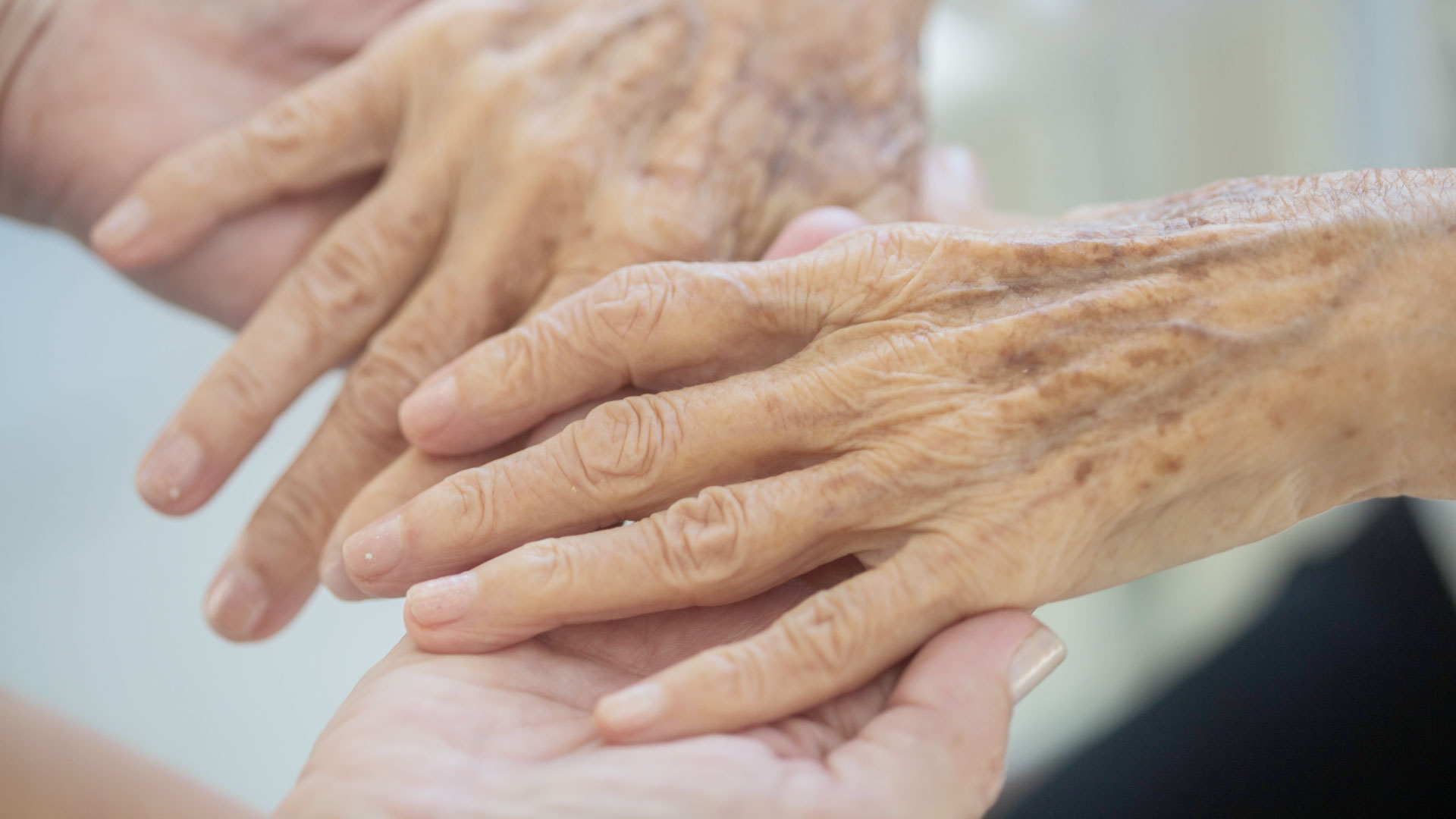 見晴らしのよい日常に、ぬくもりを添えて。